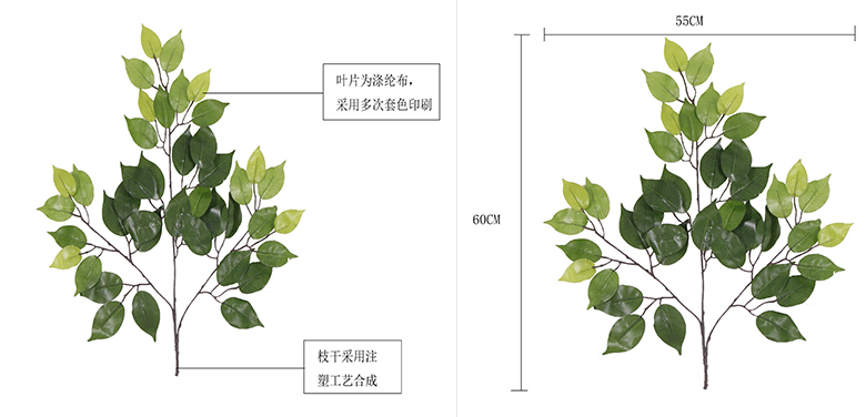 材質與尺寸